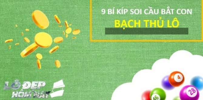 Bạch thủ lô Miền Bắc là gì? Cách soi cầu bắt con lô bạch thủ duy nhất