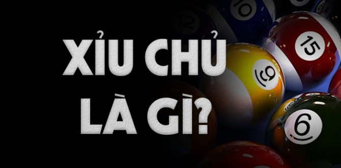 Xỉu chủ là gì, xỉu chủ miền Nam có mấy loại